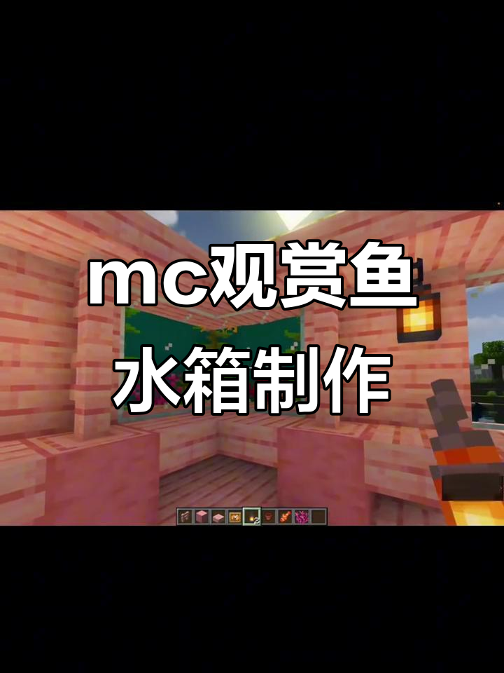 和朋友一起做mc观赏鱼水箱,乐趣多多!
