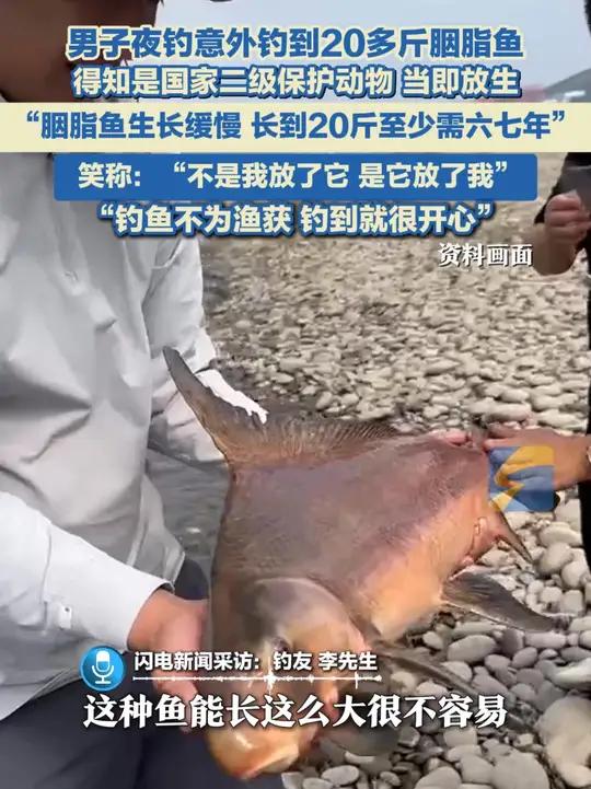 9月13日，重庆，男子夜钓意外钓到20多斤胭脂鱼，得知是国家二级保护动物当即放生：“胭脂鱼