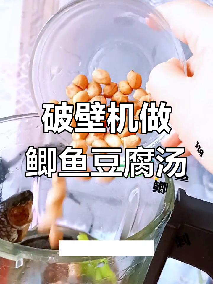 用破壁机做鲫鱼豆腐汤,补钙又美味