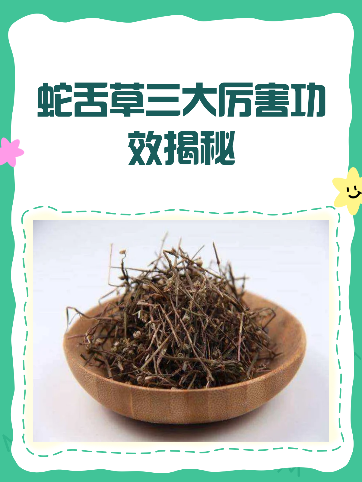 蛇舌草三大功效揭秘,居然还能治这些病!