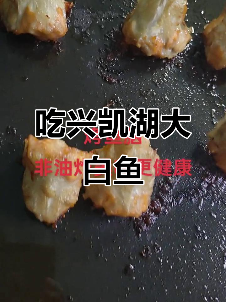 兴凯湖大白鱼来袭,老孟带你尝鲜!