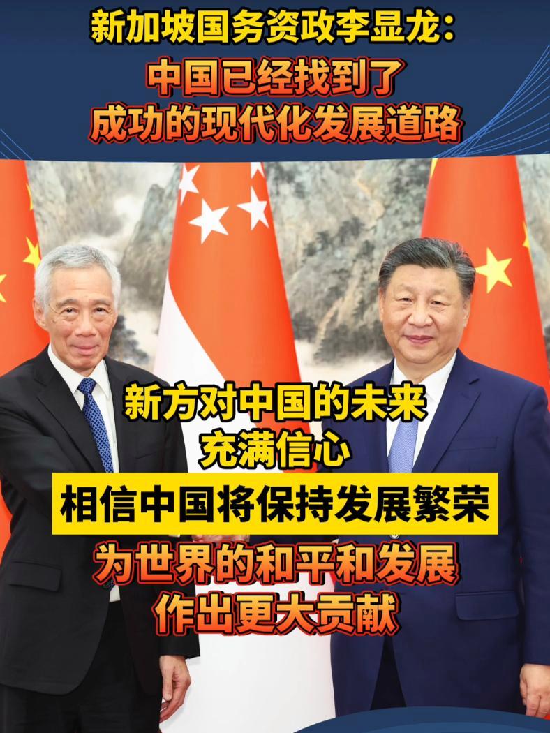 11月26日下午,国家主席习近平在北京钓鱼台国宾馆会见新加坡国务资政李显龙。元首外交 中新