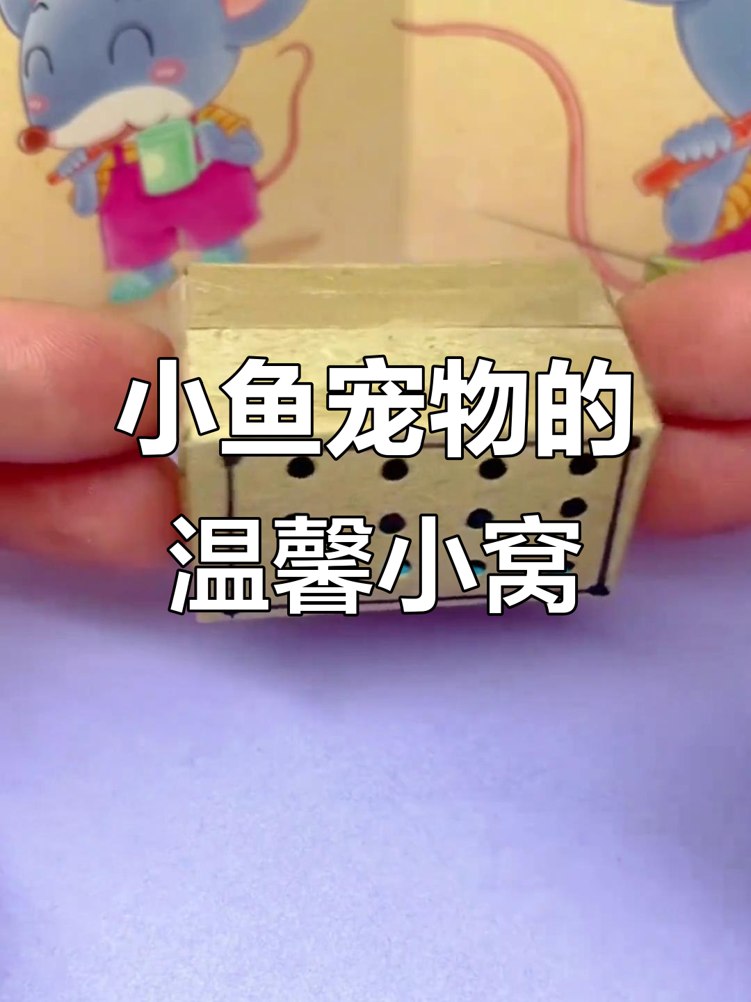 宠物小窝DIY,小鱼喜欢的家!