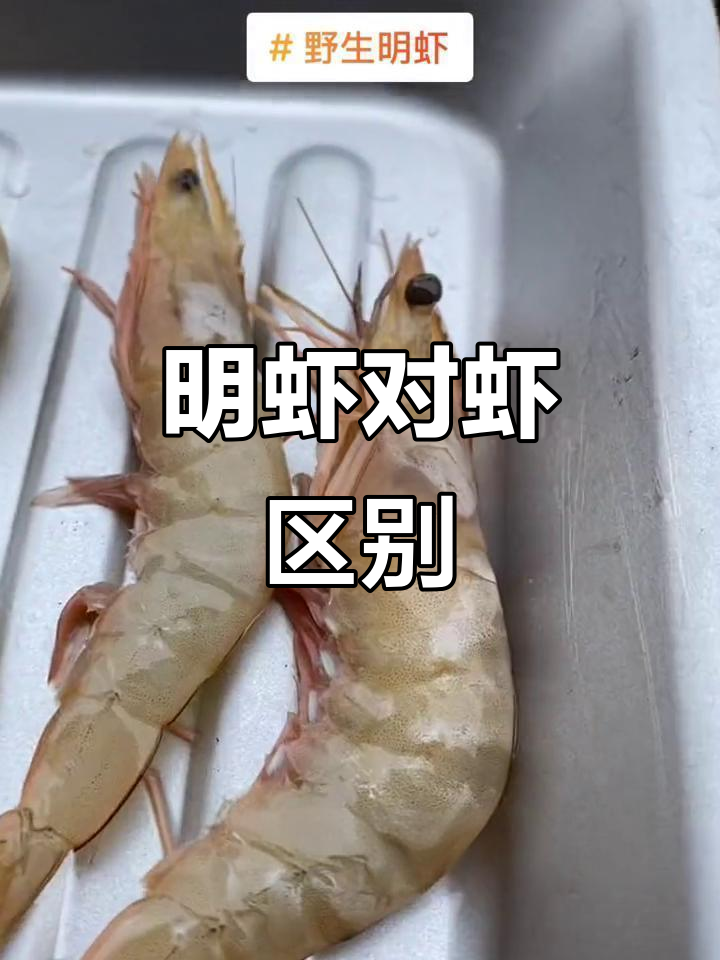 野生与养殖明虾大揭秘,如何区分真假?