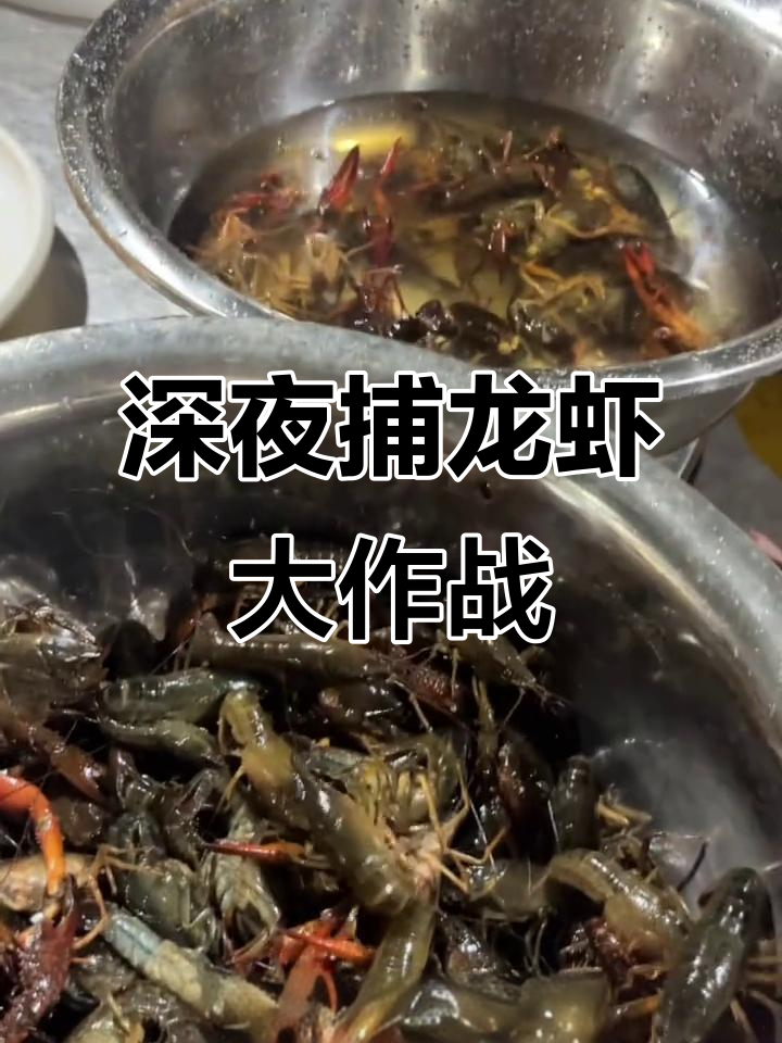 半夜抓小龙虾做宵夜,家人的快乐时光!