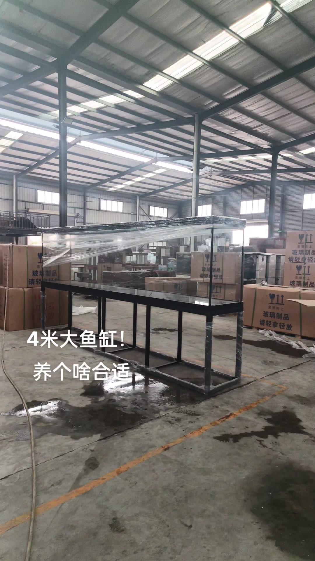 4个大鱼缸!养啥好?源头实力厂家 工厂实拍视频 鱼缸