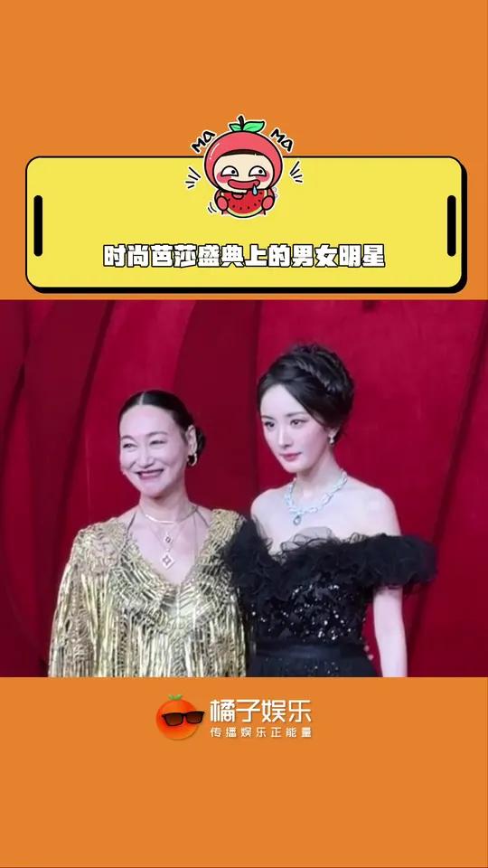 权威两个字无需多言!
