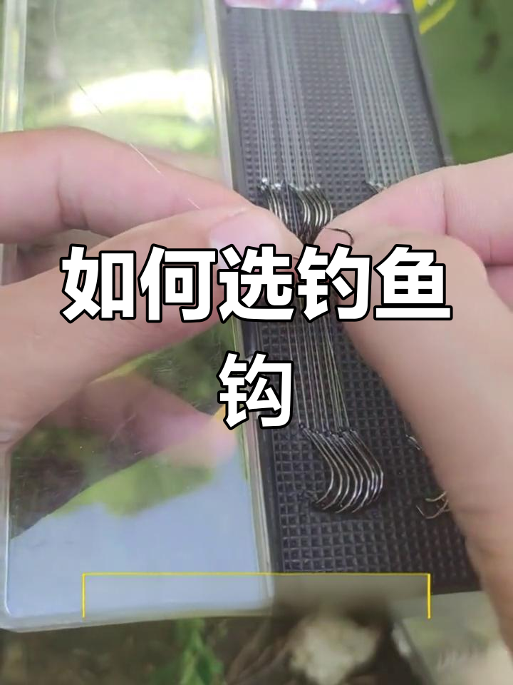 伊势尼与伊豆鱼钩选择指南