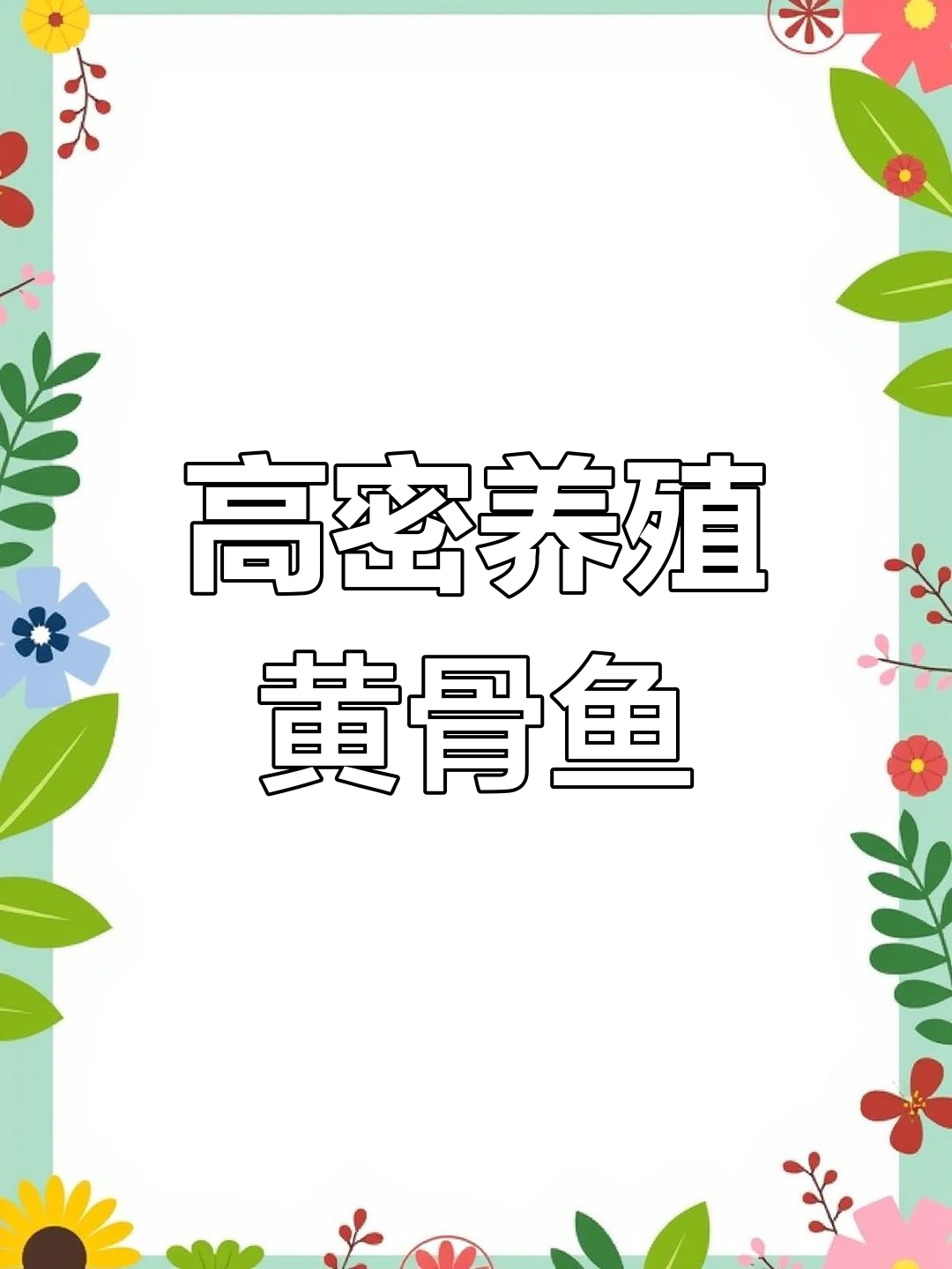 江苏镇江高密度黄骨鱼养殖基地