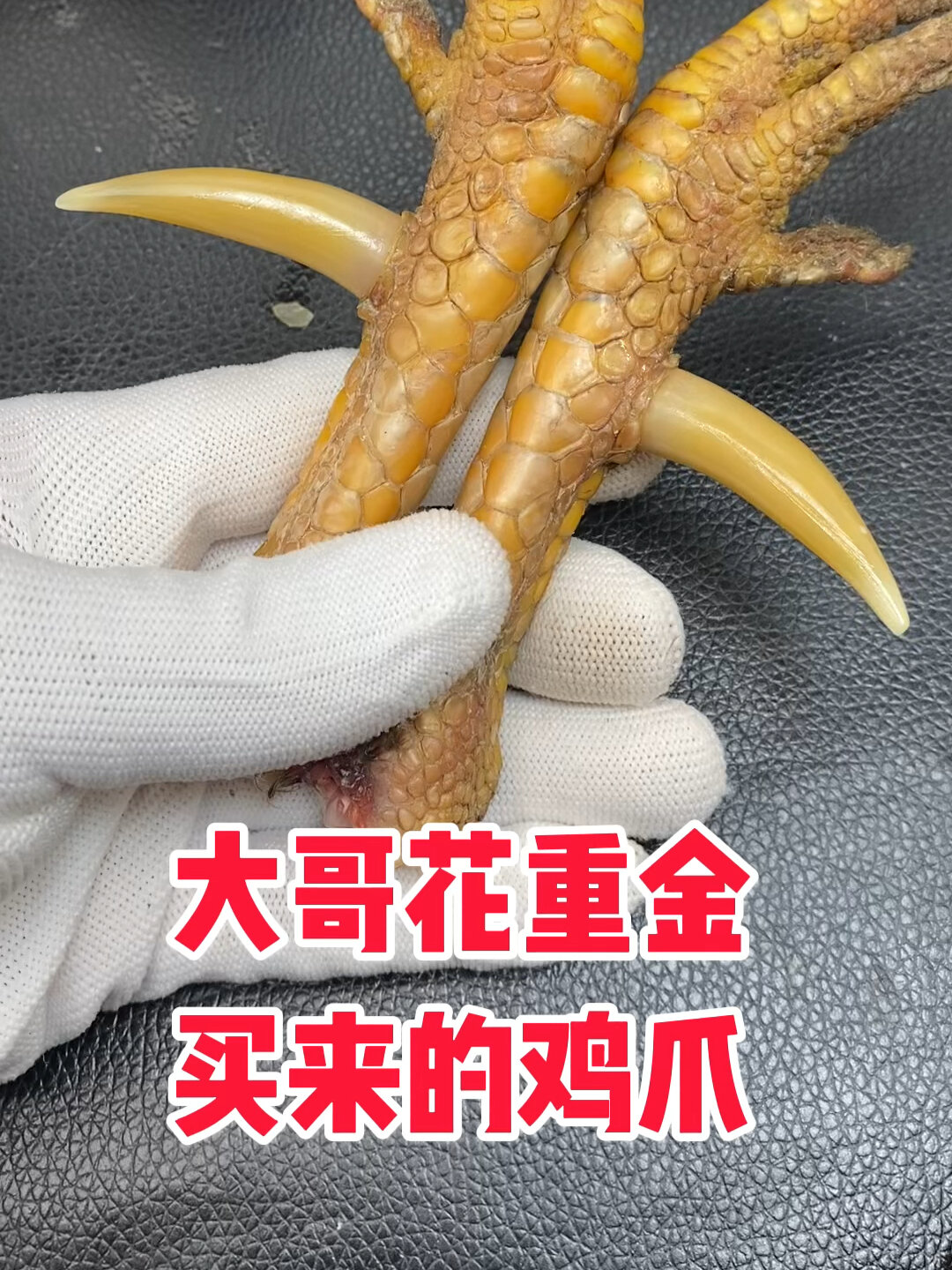 文玩鸡爪骨