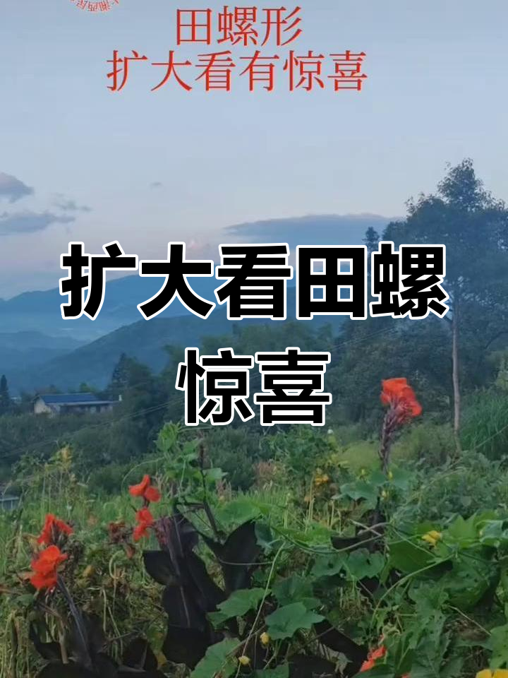 风水宝地探秘:田螺里的秘密