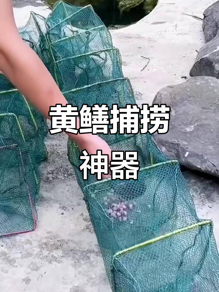 抓黄鳝必备诱食剂,轻松捕捉水中的美味