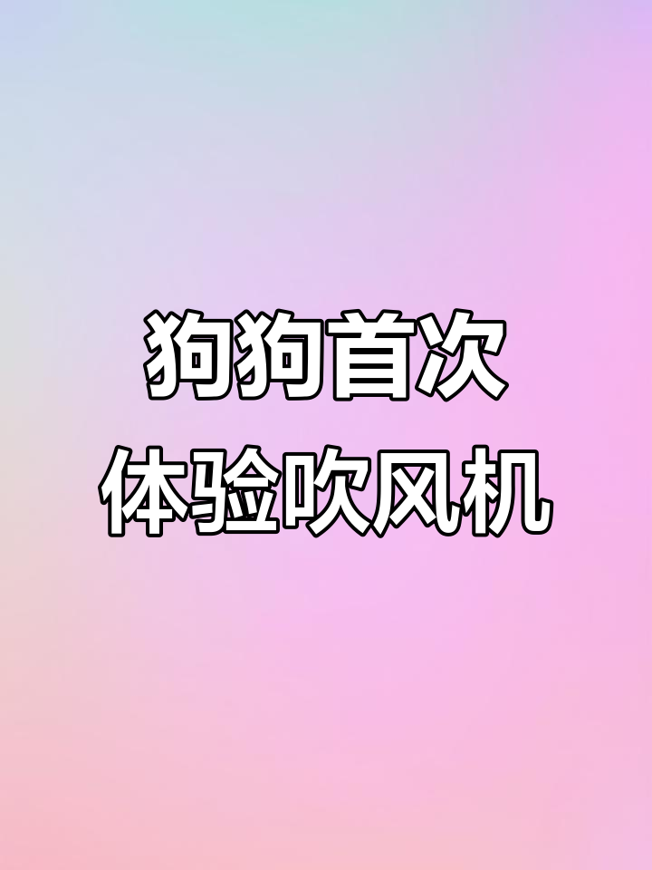 小狗第一次使用吹风拉毛机,反应超有趣