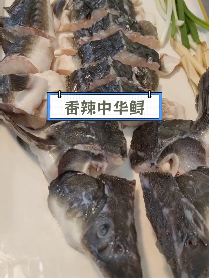 中华鲟鱼家常做法,脆骨与胶原的完美结合