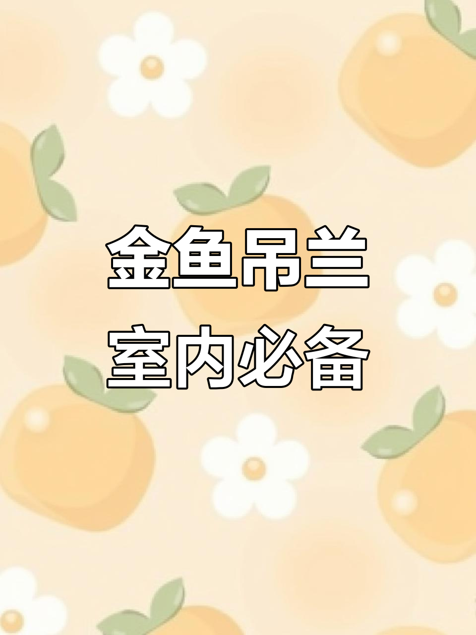 2023年年宵花推荐:金鱼吊兰,寓意好养护佳