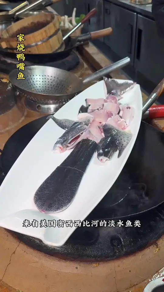 家烧鸭嘴鱼,三丝蒸鸭嘴鱼。湖北潜江大厨是怎么烹饪的!鸭嘴鱼 潜江美食 千湖雅院