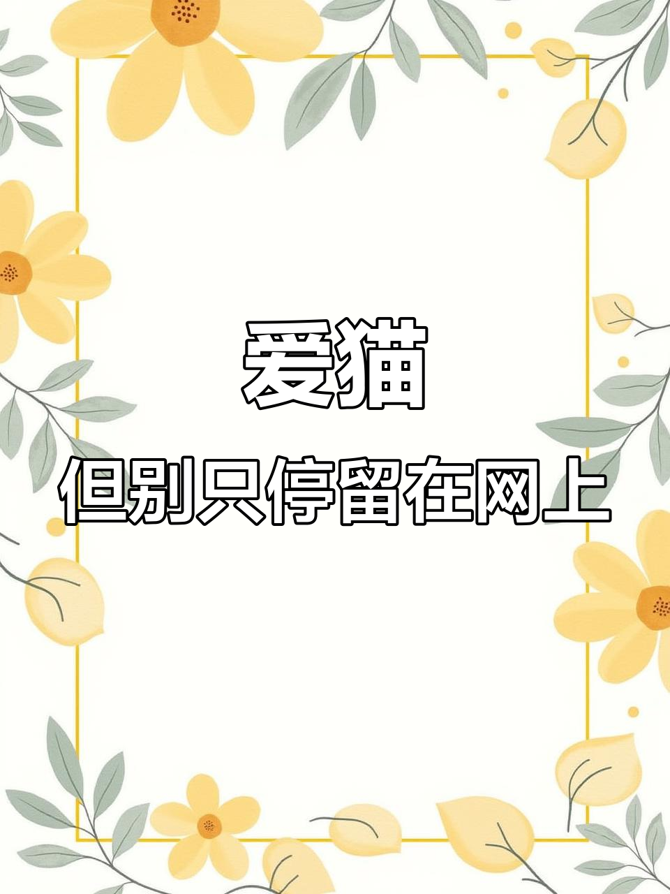 猫孝子们的爱与行动:从网络到现实