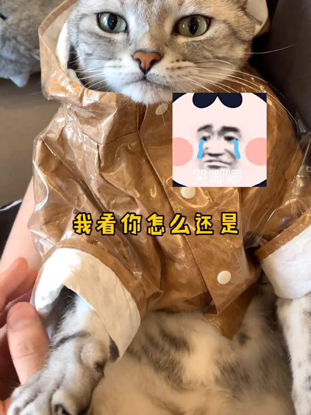 一趟说走就走的旅行，安生泡芙又撒狗粮了