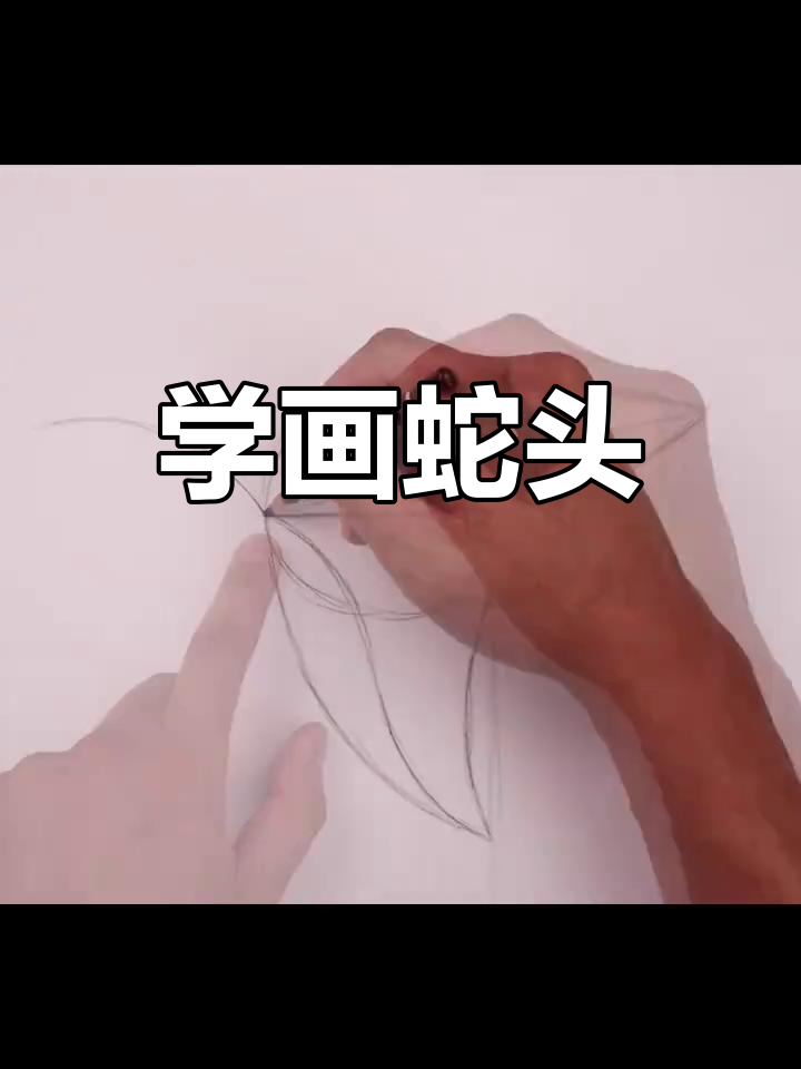 蛇年大吉,教你画可爱蛇头像