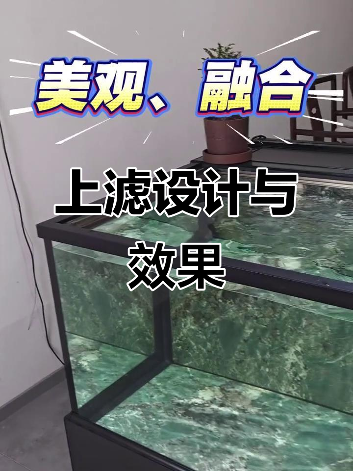 鱼缸过滤改造,上滤如何设计更美观?