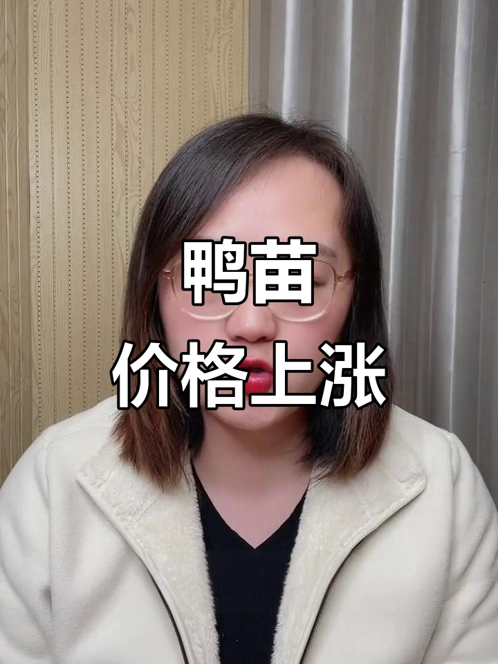 鸭苗价格持续上涨,毛鸭、蛋价波动大