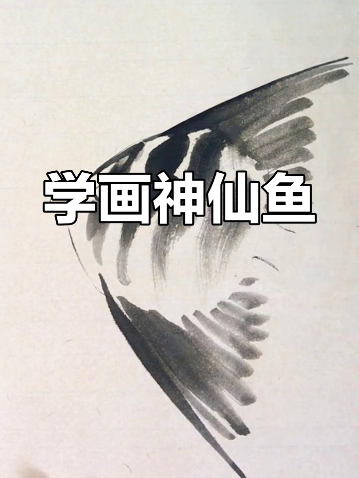 神仙鱼国画教程,轻松画出栩栩如生的谚鱼