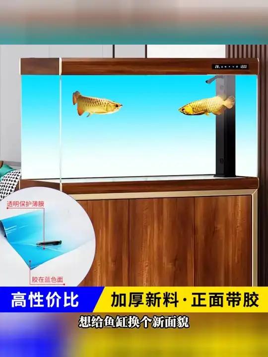 鱼缸背景贴画渐变色底贴纸壁纸画造景装饰定制水族缸背景画外自粘 鱼缸贴纸渐变色 渐变鱼缸贴 