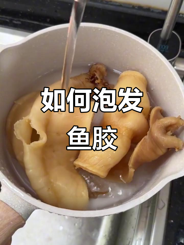 鱼胶泡发技巧大揭秘,简单步骤教你轻松搞定