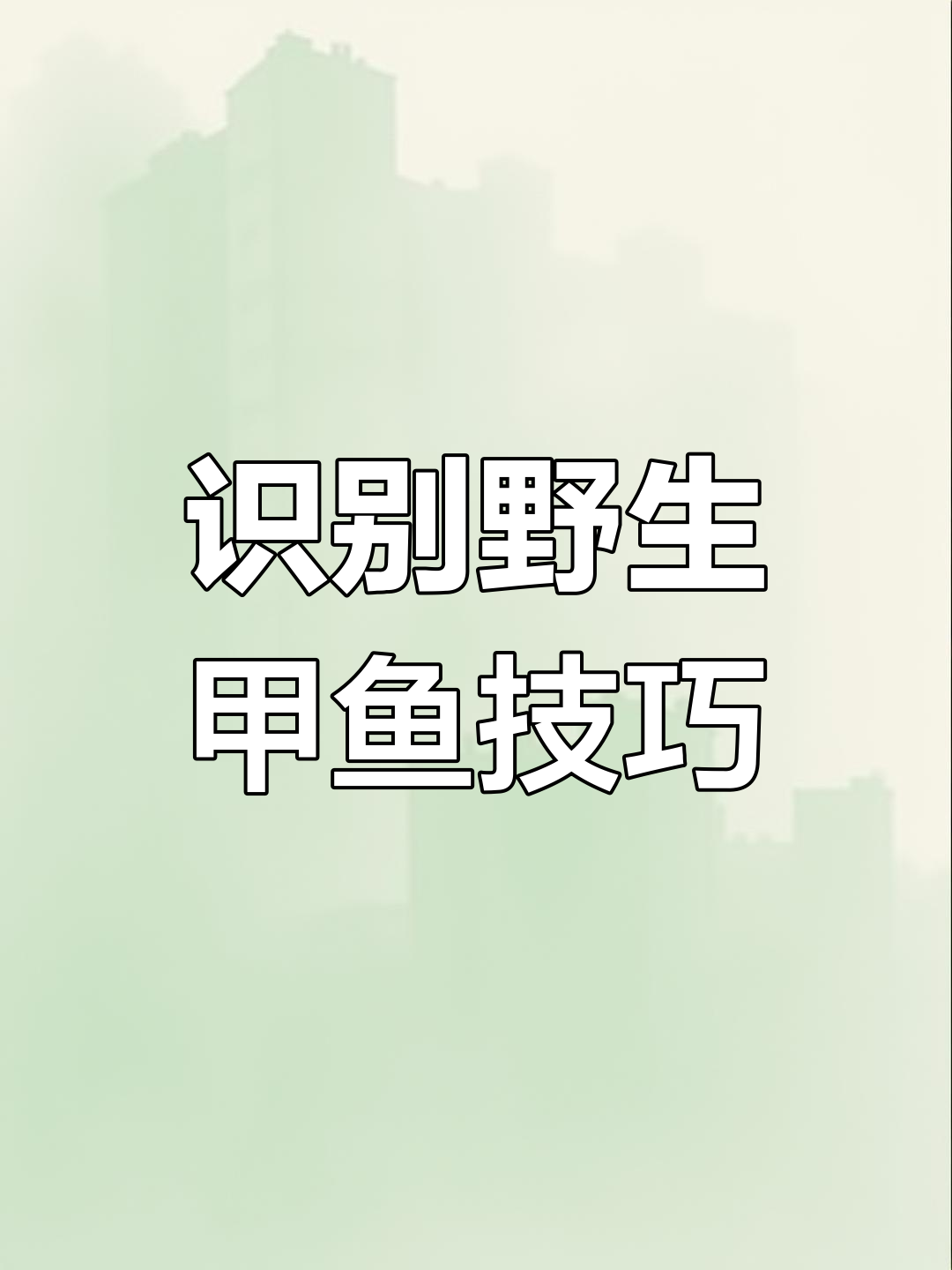 如何辨别野生甲鱼的独特特征