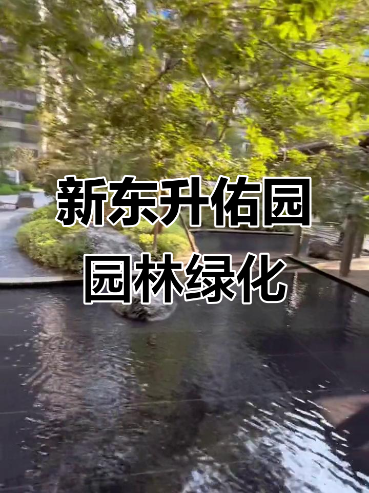 体验新东升佑园的园林美景,水系维护超豪华