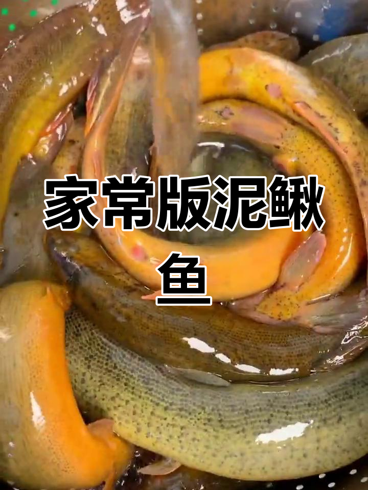 泥鳅鱼去腥炒香,家常酱料一拌,鲜美十足!