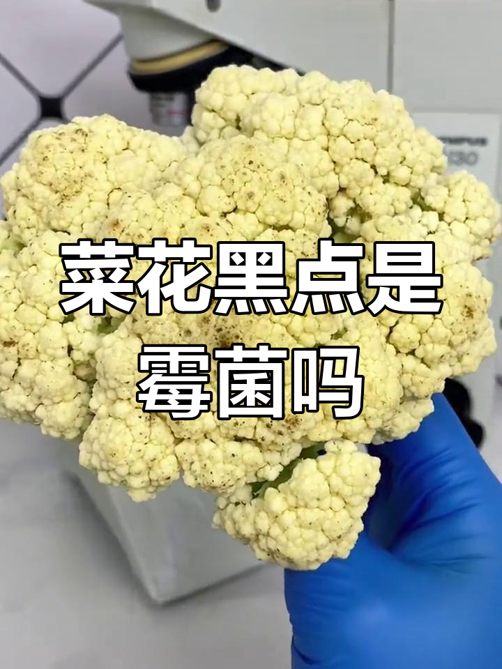 菜花发霉小黑点,还能吃吗?放大看真相