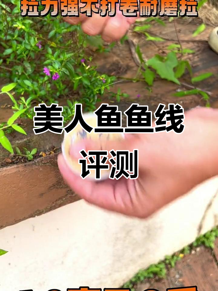 美人鱼专业鱼线,用过才知天花板!