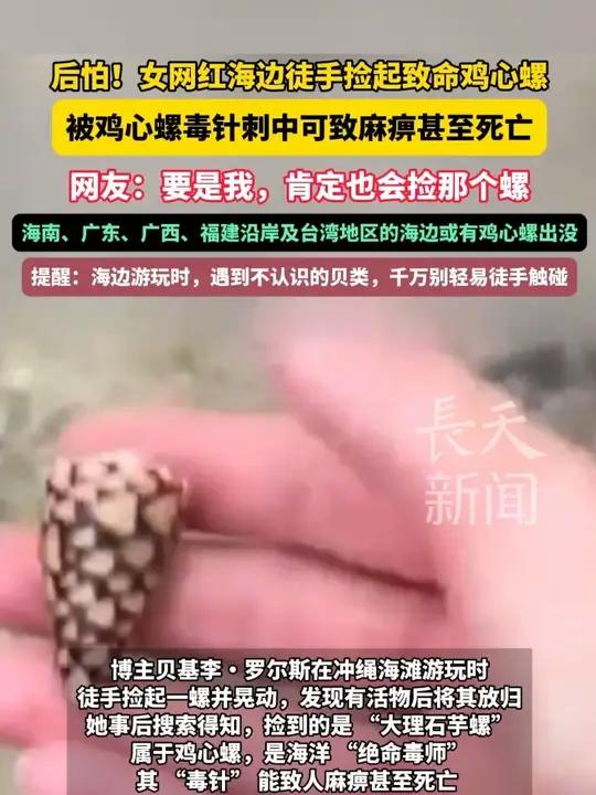 后怕！女网红海边徒手捡起致命鸡心螺！被鸡心螺毒针刺中可致麻痹甚至死亡！网友：要是我，肯定也