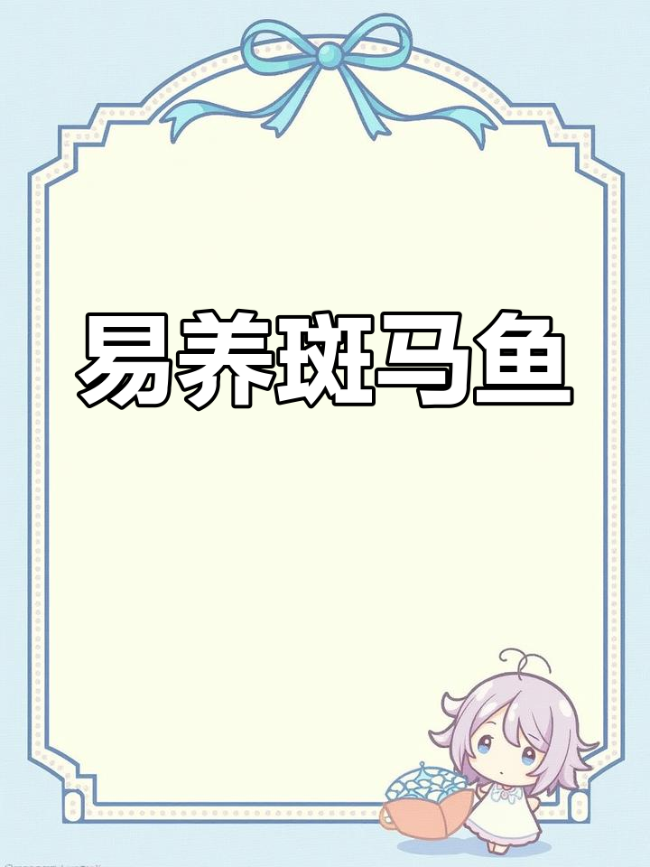 斑马鱼,便宜又易养,东北也能发货,新手必备!