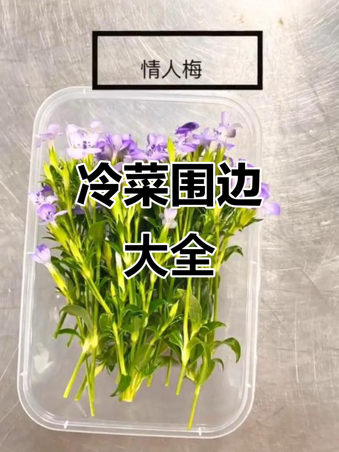 冷菜围边技巧大揭秘，花样做法全攻略