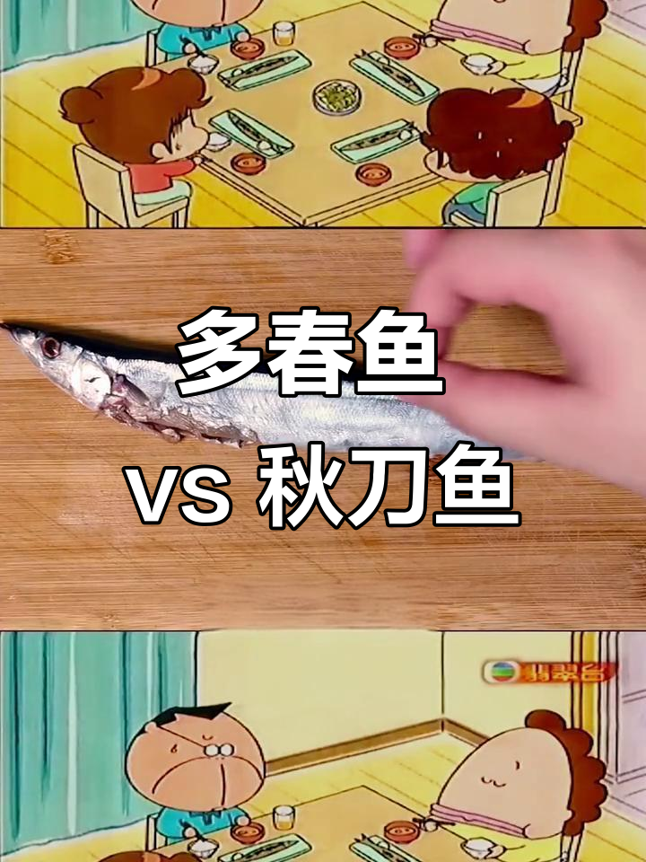 秋刀鱼和多春鱼的终极对决,哪个才是我的最爱?
