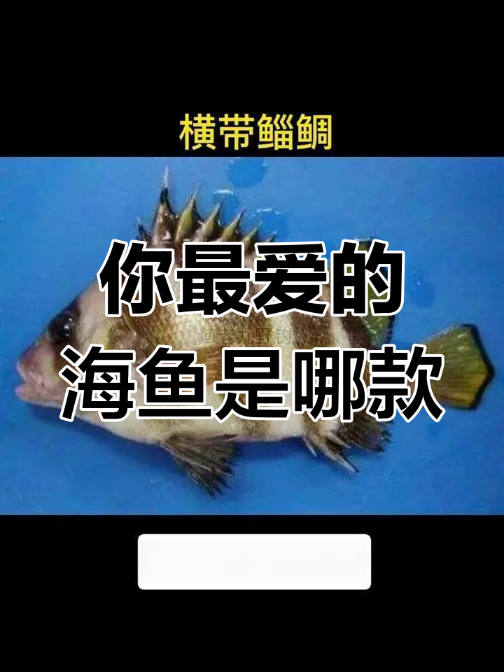 海洋美食大揭秘:这些鱼你最喜欢吃哪种?