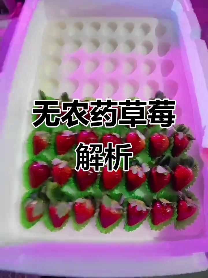 12月了解草莓无农残,快来看品种与检测报告!