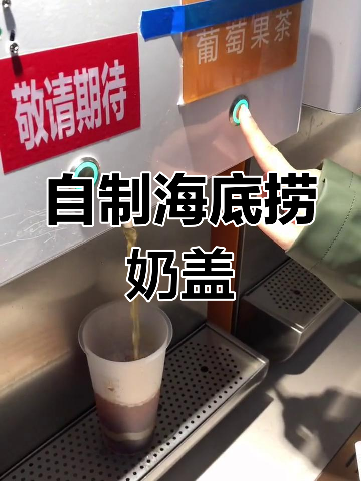 海底捞奶茶DIY,椰果脆波波全都有