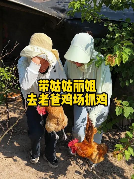 姑姑和丽姐亲自抓鸡,让我见识了番什么叫“真·新疆大盘鸡” 记录真实生活 保姆