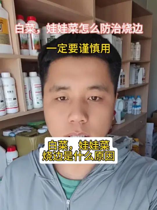 白菜娃娃菜千万谨慎用这种!
