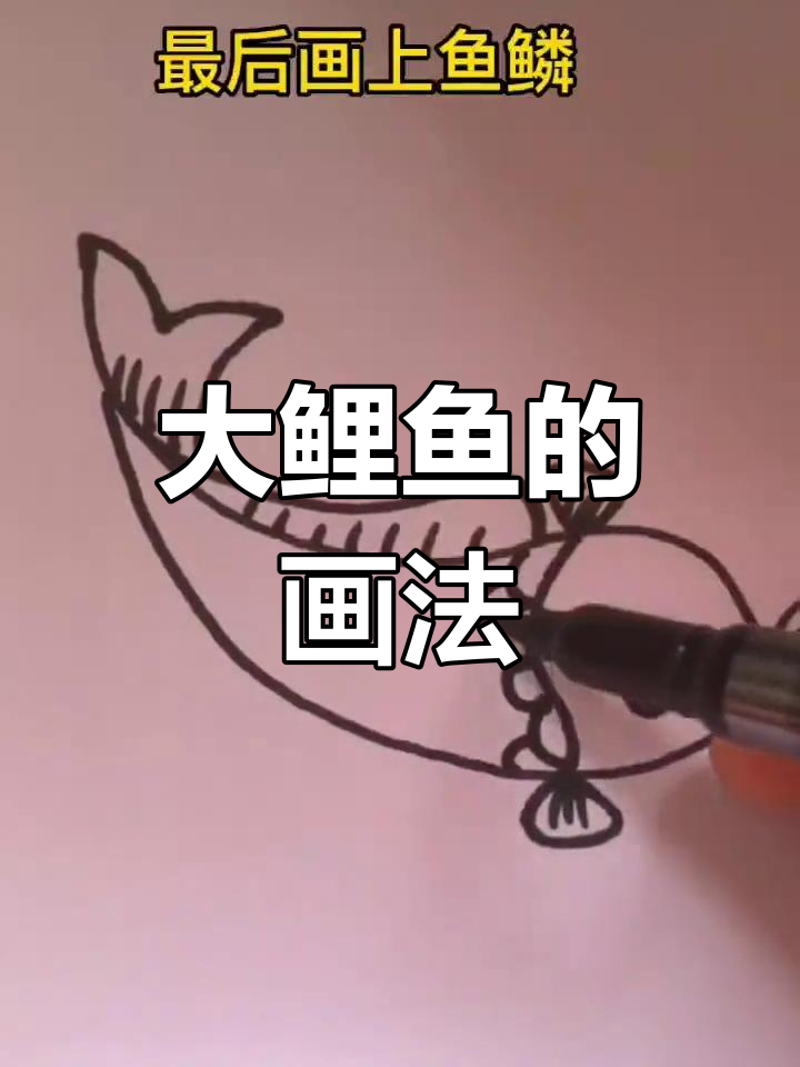 如何绘制大鲤鱼?简单步骤解析