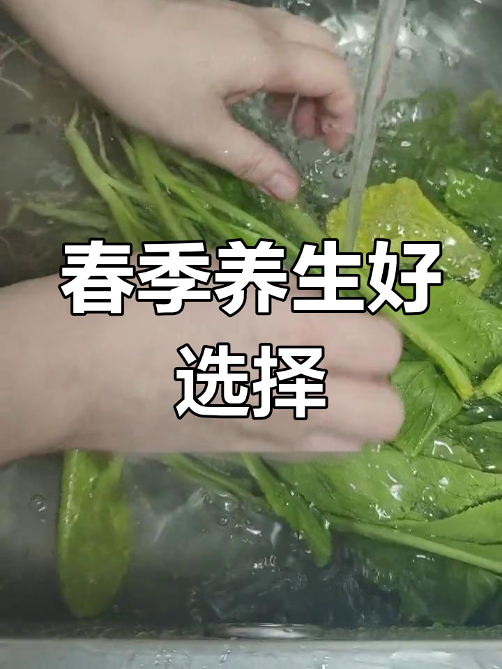 春菜排骨煲,简单又美味,养生必备!
