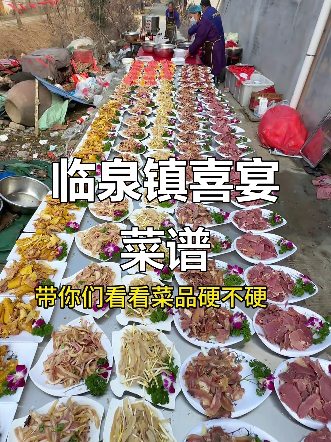 临泉县鲖城镇喜宴大揭秘,500元标准菜品全解析