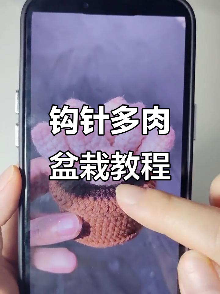 用钩针打造可爱多肉盆栽，简单步骤教你做