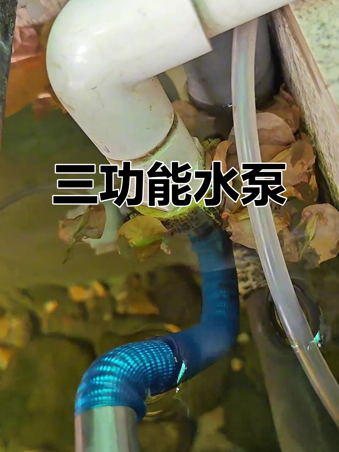 水泵三合一：过滤、增氧、循环，提升鱼池水质