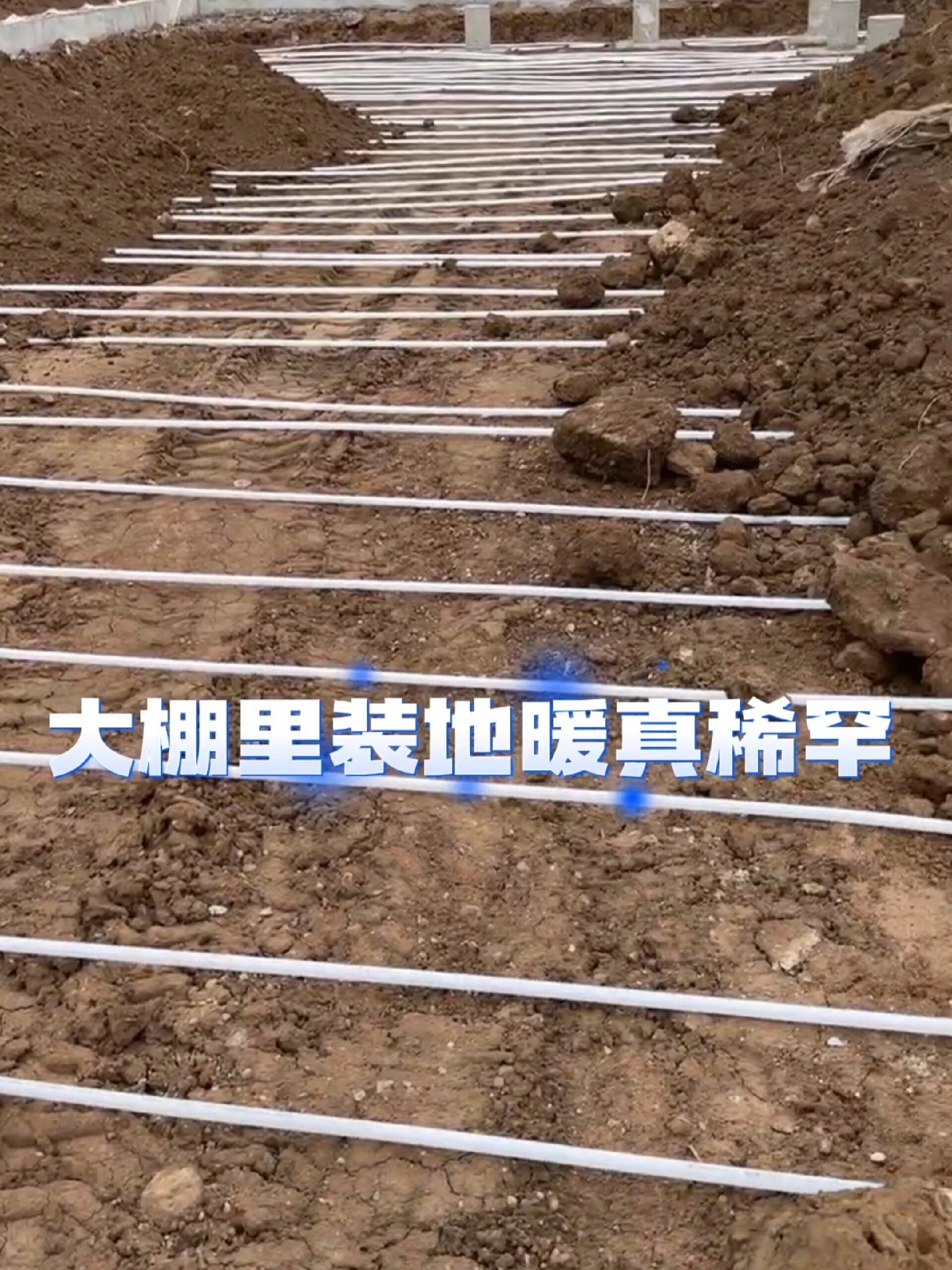 大棚里装地暖
