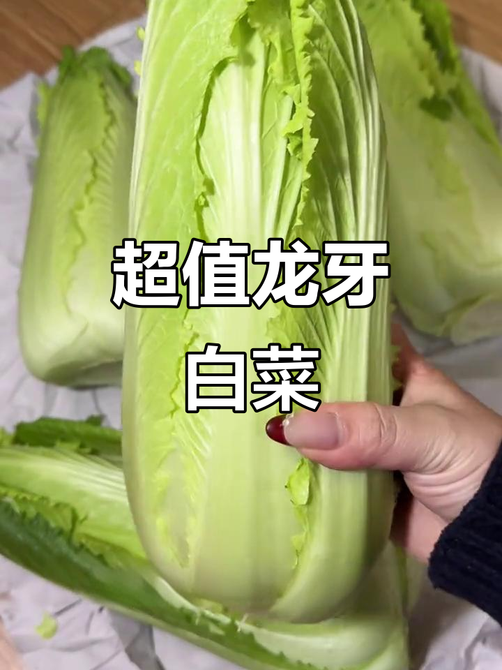 云南龙牙白菜，五斤装超值脆嫩口感，网购真划算