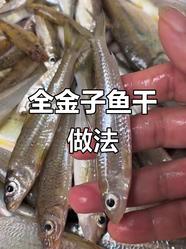 家乡特产全金子鱼干,肉多刺少,烤得香脆不腥